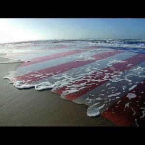 Meet your Posher, Joey